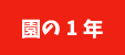 園の1年
