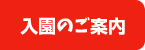 入園のご案内
